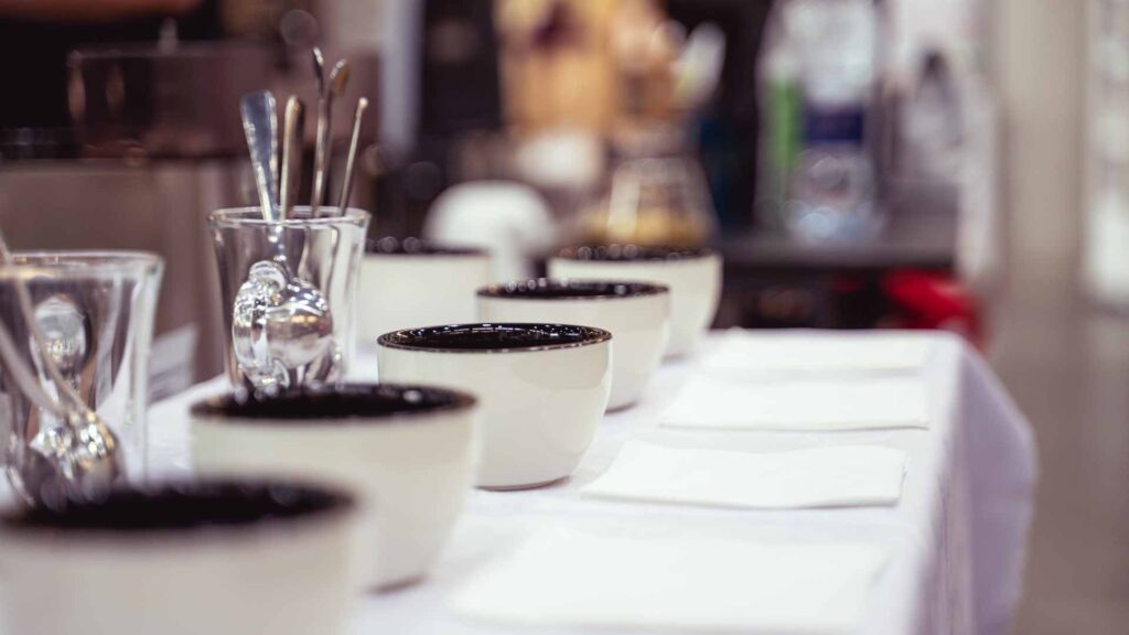 cupping warsztaty kawowe
